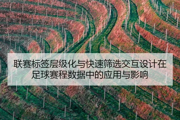 联赛标签层级化与快速筛选交互设计在足球赛程数据中的应用与影响